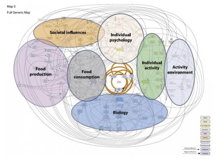 An intricate diagram showing various overlapping factors influencing individual health, including societal influences, food production, and biology, depicted with color-coded elliptical shapes and connections.