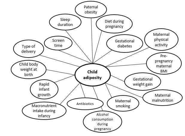 Diagram illustrating factors contributing to child adiposity, including maternal smoking, diet during pregnancy, screen time, and others connected by lines to a central circle.
