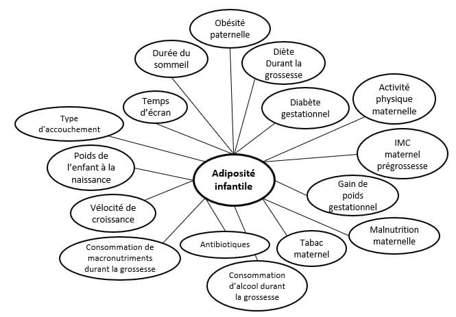 Diagram showing factors linked to childhood obesity, including parental obesity, diet during pregnancy, physical activity, and birth weight, among others, connected to a central node labeled "adiposité infantile".