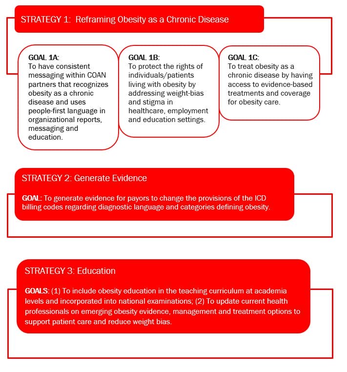 Image showing a diagram with five red boxes outlining goals to address obesity, each box numbered and containing specific strategies such as changing icd codes, education in the curriculum, and protecting patient rights.
