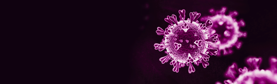 Illustration of purple coronavirus particles on a dark background, highlighting the spike proteins on the virus surface.