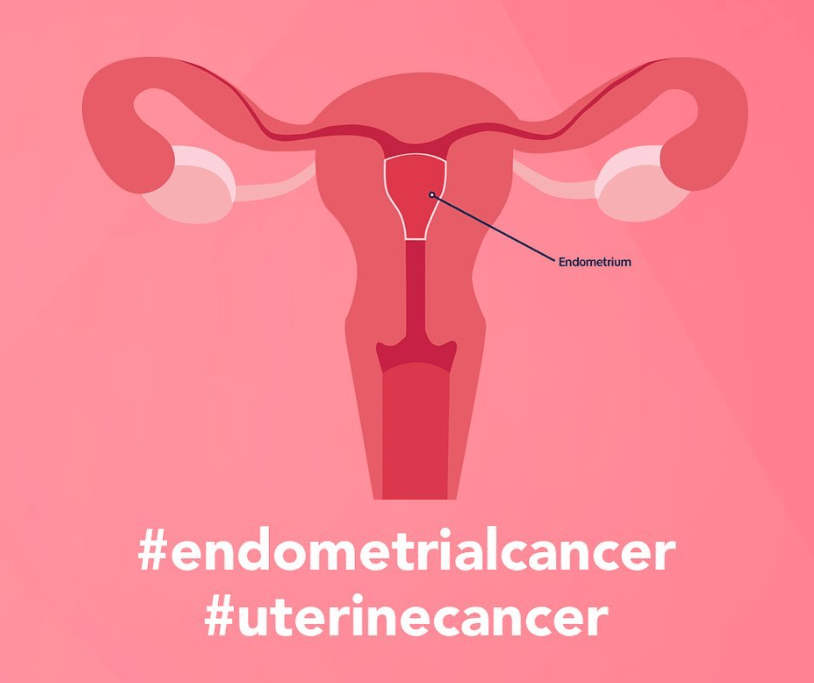 Illustration of a human uterus with labels indicating the endometrium, accompanied by hashtags "#endometrialcancer" and "#uterinecancer" on a pink background.