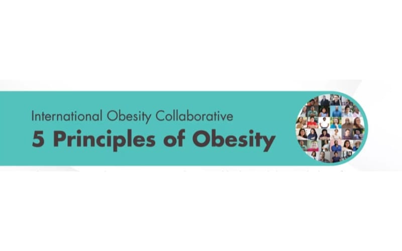 Banner for the "international obesity collaborative" displaying the text "5 principles of obesity" with a logo featuring a collage of diverse faces on the right.